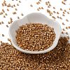 Baking Paint Glass Seed Beads SEED-S042-15A-13-2