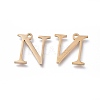 304 Stainless Steel Charms STAS-K215-04G-2