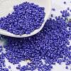 Baking Paint Glass Seed Beads SEED-S042-05B-74-1
