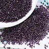 MIYUKI Delica Beads SEED-X0054-DB0611-1