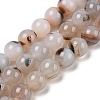 Natural Dendritic Agate Beads Strands G-A248-A07-07-2
