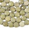 Natural Alashan Agate Beads Strands G-F812-B02-02-5
