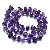Natural Amethyst Beads Strands G-K245-H18-05-2