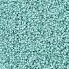 MIYUKI Delica Beads SEED-JP0008-DB0626-3