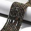 Natural African Turquoise(Jasper) Beads Strands G-H080-A02-01-2