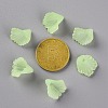 Frosted Acrylic Bead Caps LS-MACR-S371-10A-728-4
