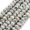 Natural Sesame Jasper Beads Strands G-Z111-A38-3