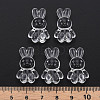 Transparent Acrylic Beads MACR-S373-81-B01-5