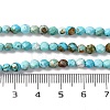Natural Howlite Beads Strands G-C025-02C-06-5