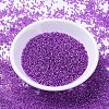 MIYUKI Delica Beads SEED-MY11-DB1345-2