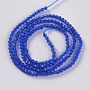 Glass Beads Strands EGLA-E057-02B-06-2