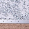 MIYUKI Delica Beads Small SEED-X0054-DBS0110-4