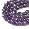 Natural Gemstone Beads Strands X-G-S036-10