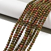 Natural Unakite Beads Strands G-G143-A04-01-2