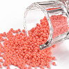 11/0 FGB Grade A Baking Paint Glass Seed Beads X-SEED-N001-A-1005-1