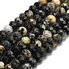 Natural African Turquoise(Jasper) Beads Strands G-Z111-A13-01-3