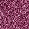 TOHO 11/0 Round Beads X-SEED-TR11-PF0563-2