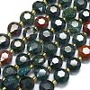 Natural Bloodstone/Heliotrope Stone Beads Strands G-C116-A143-01-2