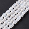 Natural White Agate Beads Strands G-C247-01B-4