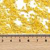 Baking Paint Silver Lined Glass Seed Beads SEED-H003-09B-4