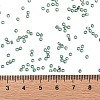 TOHO Round Seed Beads X-SEED-TR11-2202-4