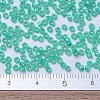 MIYUKI Round Rocailles Beads SEED-G007-RR0572-4