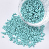 FGB 11/0 Grade A Glass Seed Beads SEED-S030-0729-1