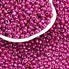 6/0 Glass Seed Beads E06900F4-2