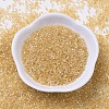 MIYUKI Delica Beads SEED-MY11-DB0100-2