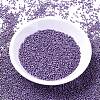 MIYUKI Delica Beads SEED-MY11-DB1185-2