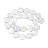 Electroplate Porcelain Imitation Pearl Beads Strands BSHE-Z009-02A-3