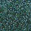 MIYUKI Delica Beads SEED-JP0008-DB0919-3