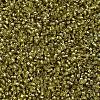 MIYUKI Delica Beads SEED-MY11-DB2164-3