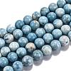 Natural Gemstone Beads Strands G-L367-01-6mm-4