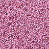MIYUKI Delica Beads SEED-X0054-DB0625-3