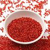Glass Seed Beads X-SEED-S042-04B-10-2