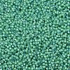 MIYUKI Delica Beads X-SEED-J020-DB2053-3