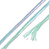 10 Skeins 6-Ply Polyester Embroidery Floss OCOR-K006-A30-3