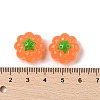 Resin Cabochons RESI-S012-03B-3