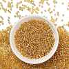 TOHO 8/0 Round Beads SEED-XTR08-0022A-2