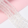 Natural White Agate Beads Strands G-C247-01B-2