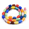 Handmade Lampwork Beads Strands LAMP-N023-004-01-2