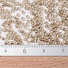 MIYUKI Delica Beads X-SEED-J020-DB0907-4