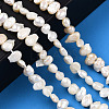 Natural Cultured Freshwater Pearl Beads Strands PEAR-N014-05-2