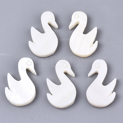 Natural Freshwater Shell Beads X-SHEL-N026-54-1