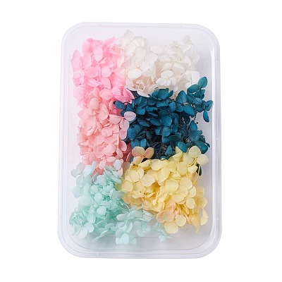 Dried Flowers X-DIY-D052-17-1