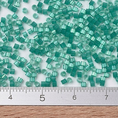 MIYUKI Delica Beads X-SEED-J020-DB1813-1
