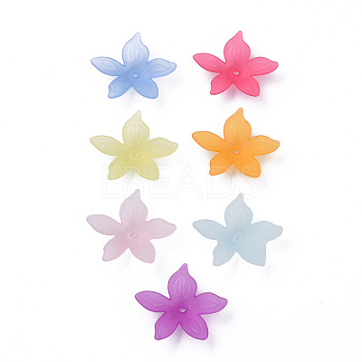 Transparent Acrylic Beads X-MACR-S373-127-D-1
