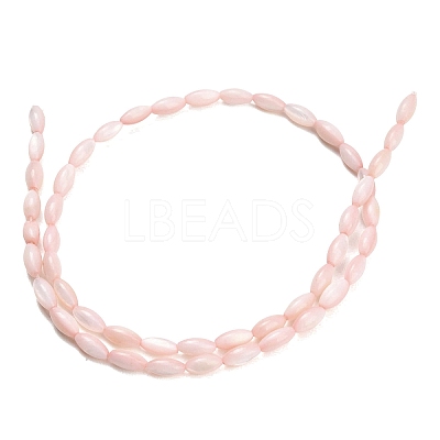 Natural Freshwater Shell Beads Strands SHEL-C010-01F-1