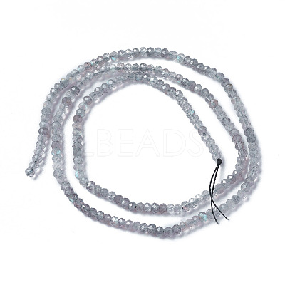 Natural Labradorite Beads Strands G-F596-07-1
